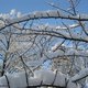 IMG_0074.jpg