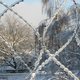 IMG_0130.jpg