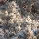 IMG_6074.JPG