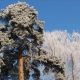 IMG_6072.JPG