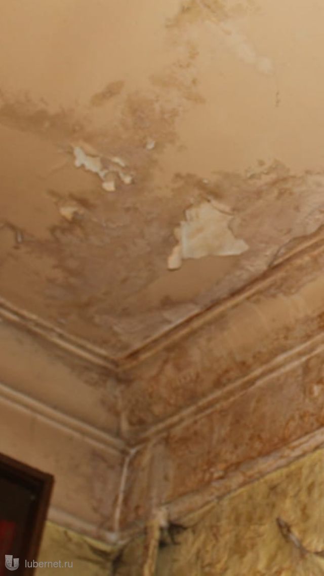 Фотография: Потолок после кровельных протечек и недавних ремонтов, пользователя: rea1604