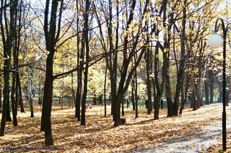 Фотография: Листья желтые над городом (и парком) кружатся.jpg, пользователя: В@cильичЪ